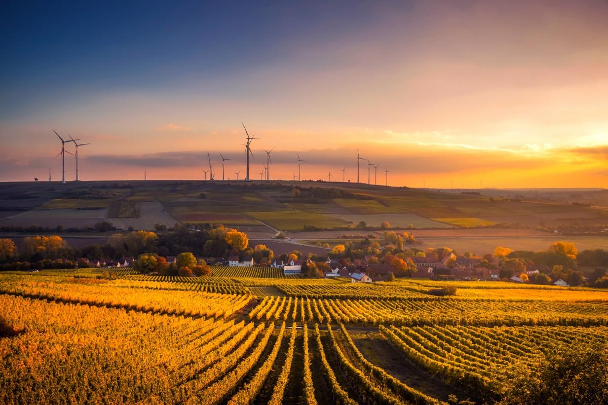 CCOO de Industria participa activamente en el Seminario Anlisis Memorias Sostenibilidad (Programa TALK). Foto de campo (Pexels)