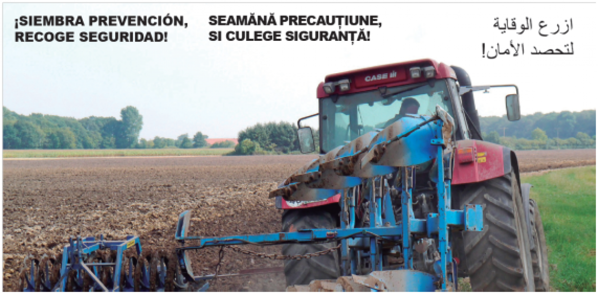 Siembra prevencion