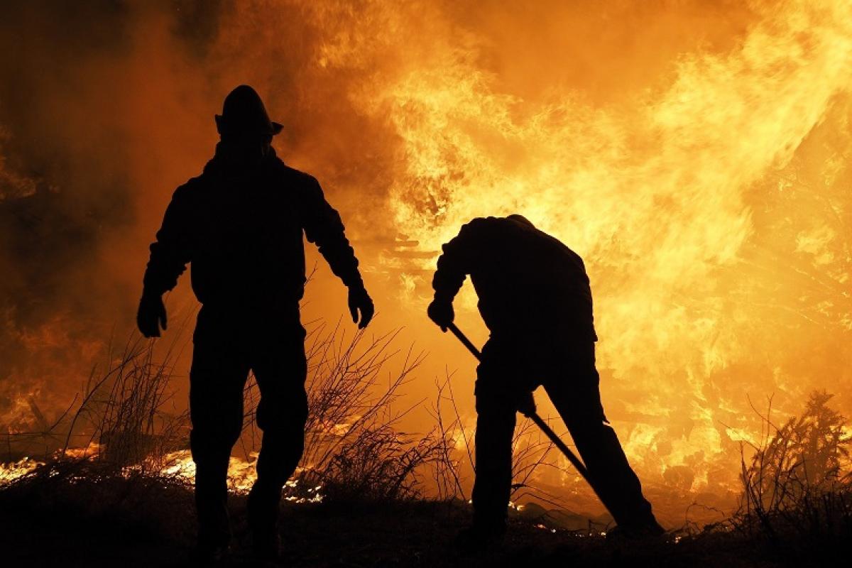 Bomberos forestales