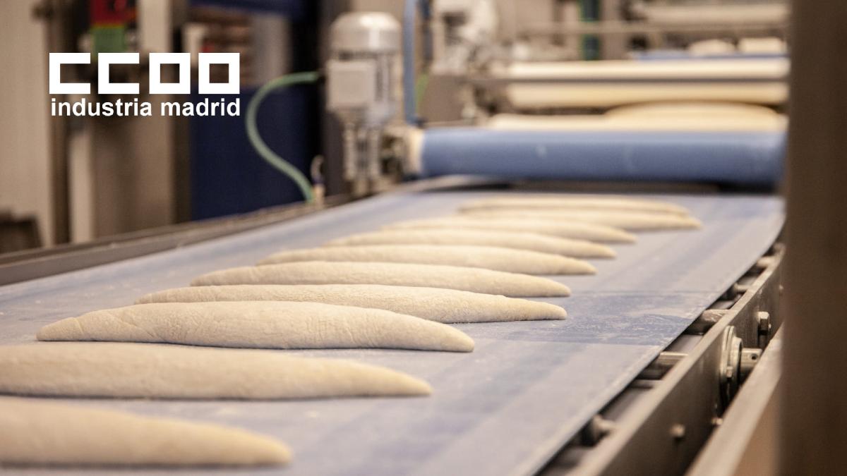 20251218 2 Panificadora