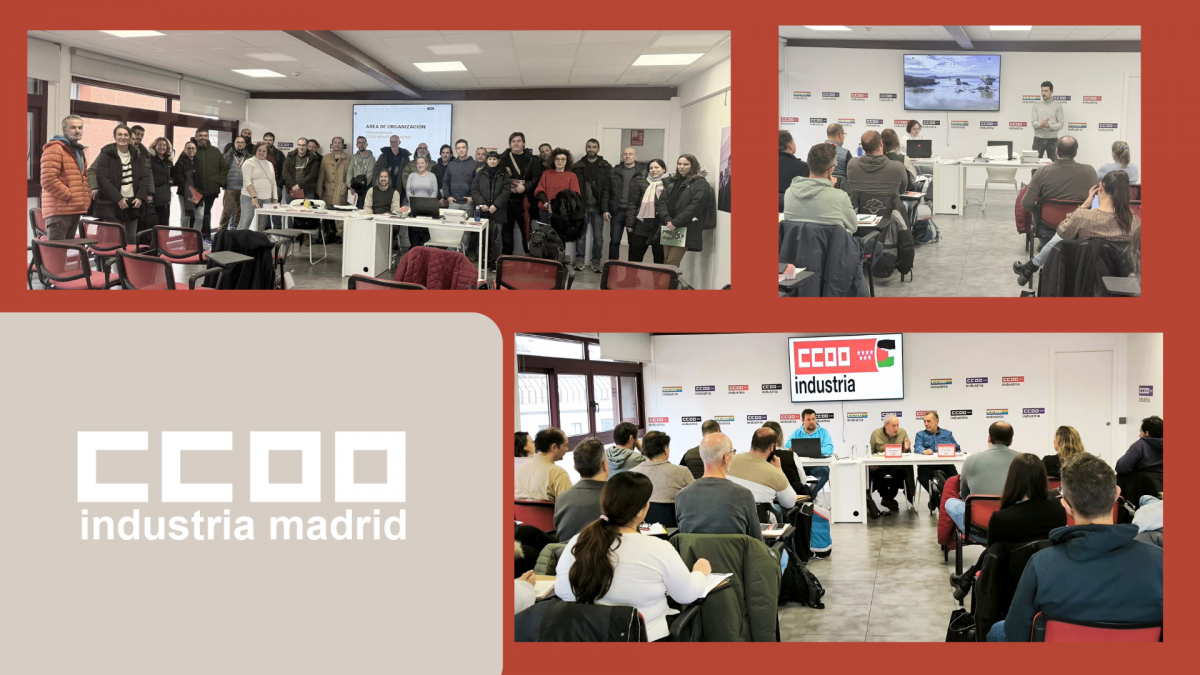 Formación Inicial FIM 20260210