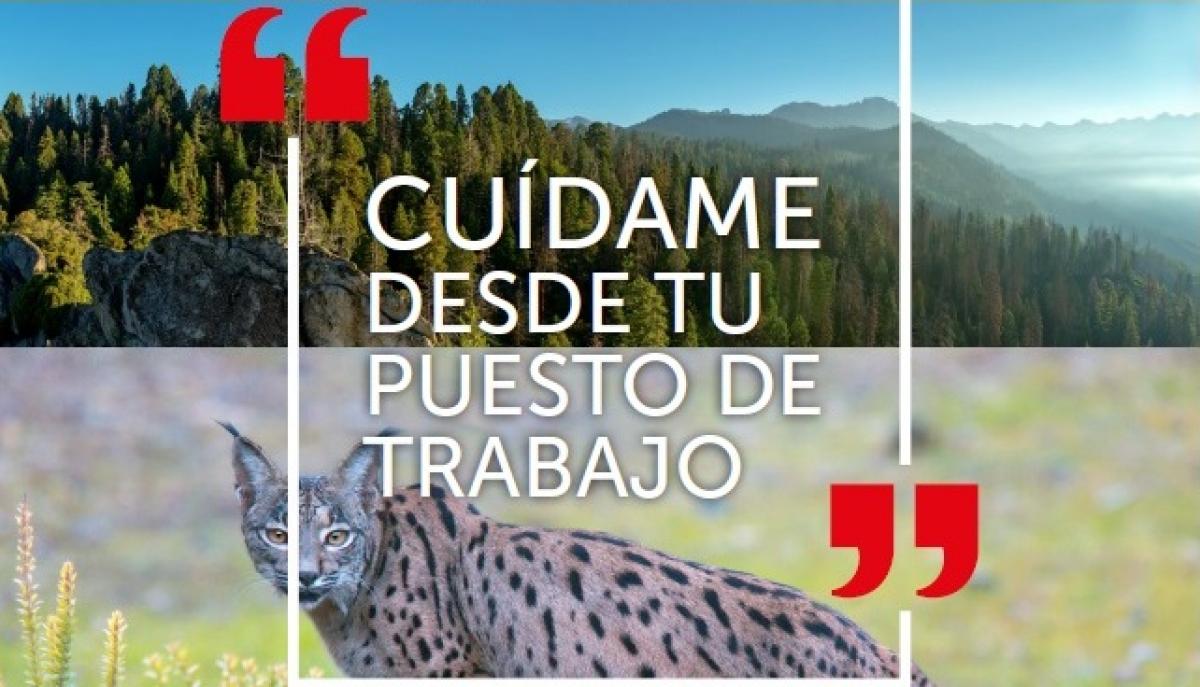 CCOO de Industria se suma con esta imagen y este lema al da de accin del 26J