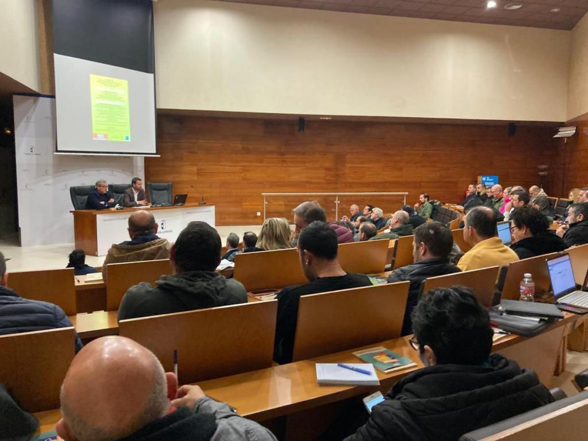 Jornada Toledo