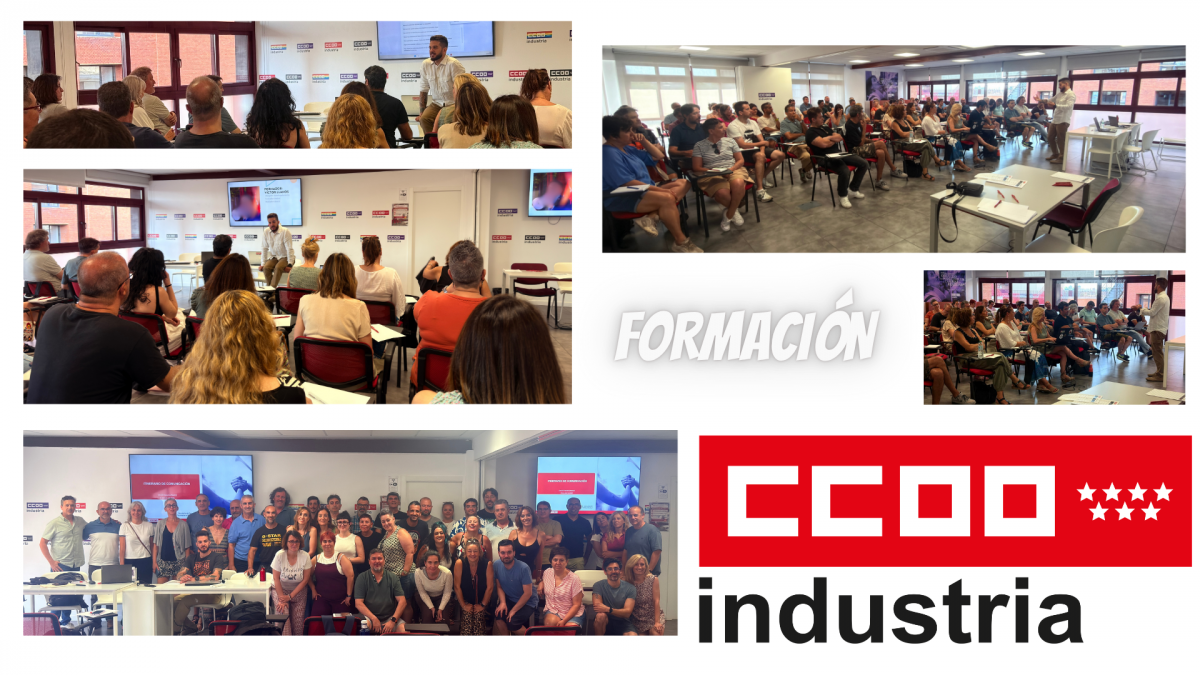 Formación Economía política, comunicación persuasiva y comunicación no verbal.