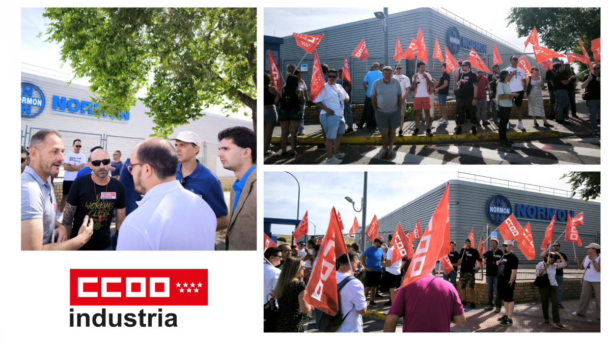 CCOO Industria denuncia los despidos sistemáticos y el ataque a la libertad sindical en Normon